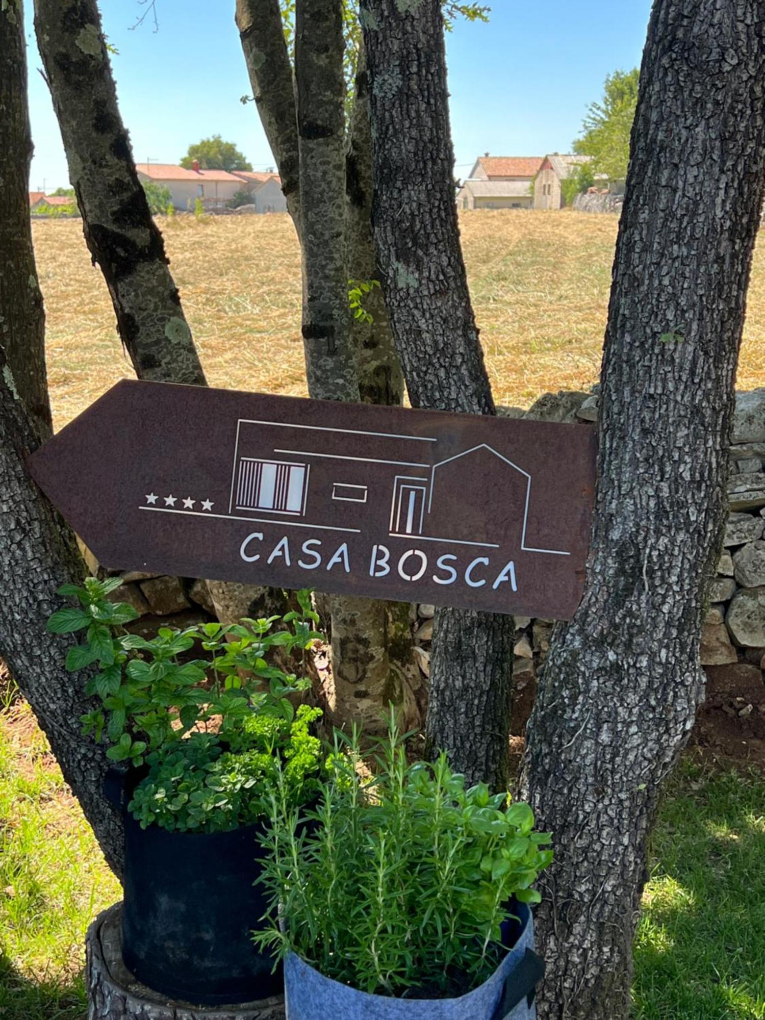 Casa Bosca With Heated Pool Villa Sveti Petar u Sumi Exterior photo
